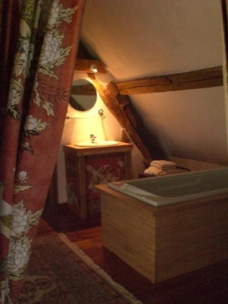 La Touche Bed and Breakfast Menetou-sur-Nahon Habitación foto